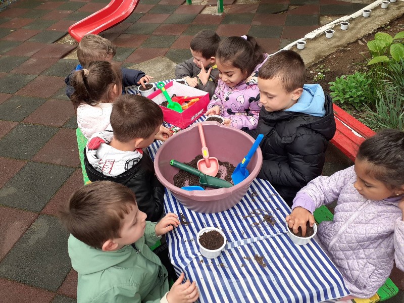 sadene-4